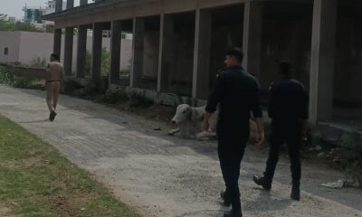 नारनौल में विशेष सर्च अभियान के दौरान संदिग्ध स्थानों की जांच करती पुलिस और कमांडो टीम।