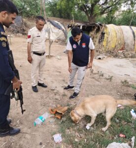 नारनौल में पुलिस का व्यापक सर्च अभियान, डॉग स्क्वायड और कमांडो टीम ने की चेकिंग