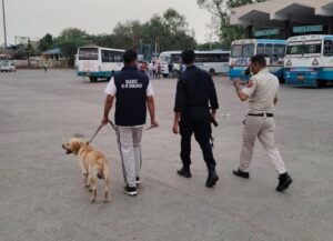 नारनौल में डॉग स्क्वायड और कमांडो टीम के साथ सर्च अभियान चलाती पुलिस