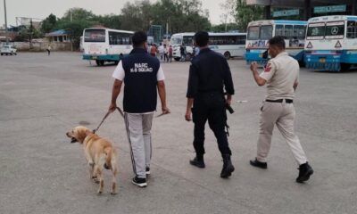 नारनौल में डॉग स्क्वायड और कमांडो टीम के साथ सर्च अभियान चलाती पुलिस