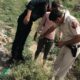 नारनौल में सर्च अभियान चलाती पुलिस और कमांडो टीम