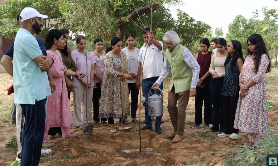 हरियाणा केंद्रीय विश्वविद्यालय में विश्व पर्यावरण दिवस पर आयोजित कार्यक्रम में पौधारोपण करते अतिथि एवं विद्यार्थी।