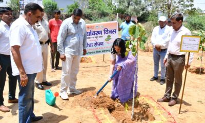 पौधारोपण करती डीसी अनुपमा अंजली।