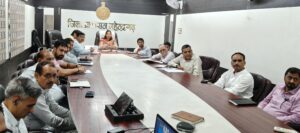 वीडियो कॉन्फ्रेंसिंग के दौरान मौजूद डीसी अनुपमा अंजली।
