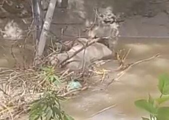 नारनौल के भूषण शोभापुर में नहर से मिला अज्ञात शव