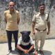 फतेहाबाद पुलिस की गिरफ्त में आरोपी महावीर