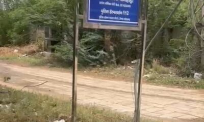 घटनास्थल पर पड़ी मृत गर्भवती बकरी