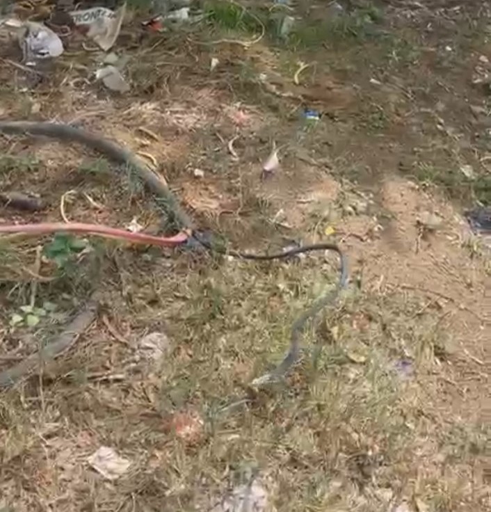 मुख्य चौराहे पर धरातल पर पड़े बिजली के नंगे तार