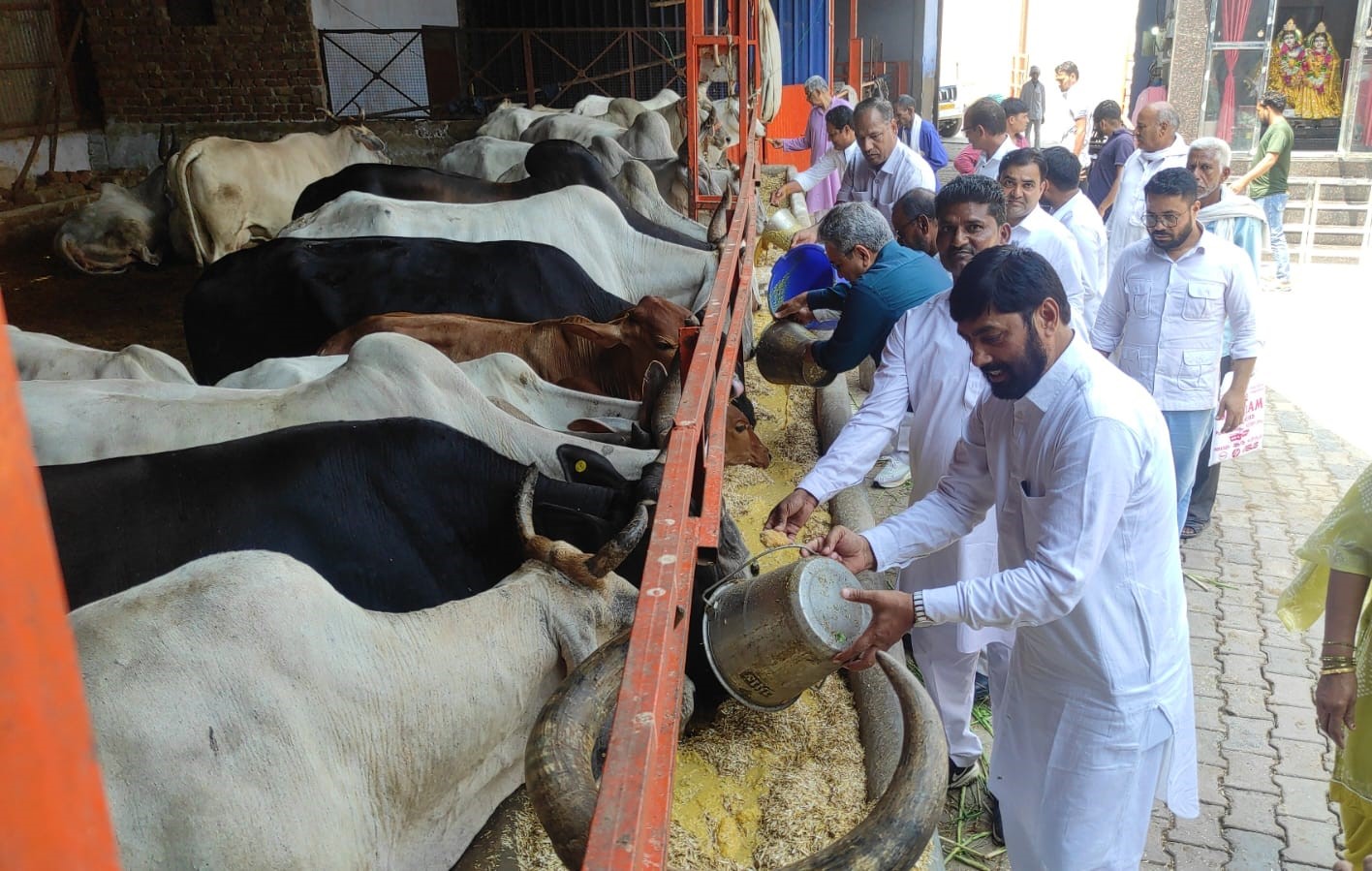 विपक्ष के नेता एवं सांसद राहुल गांधी के जन्मदिवस पर उपचार गौशाला में जिला कांग्रेस अध्यक्ष सत्यवीर झुकिया के नेतृत्व में गायों की सेवा करते कांग्रेस कार्यकर्ता।