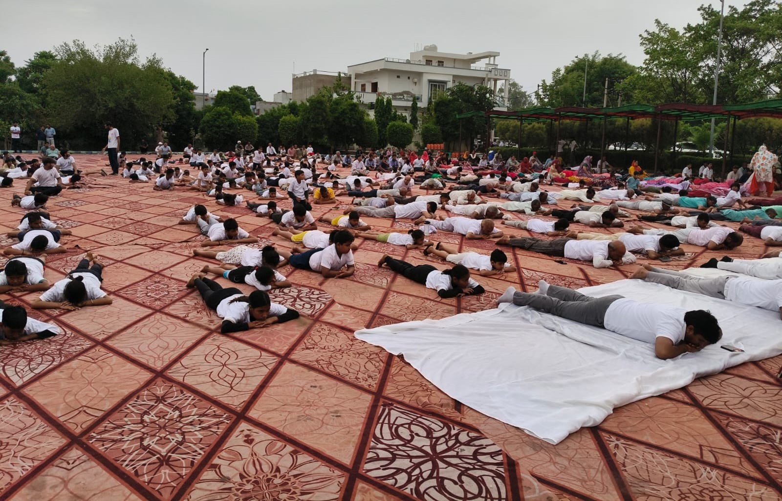 योग दिवस पर योग करते हुए उपस्थित योग साधक