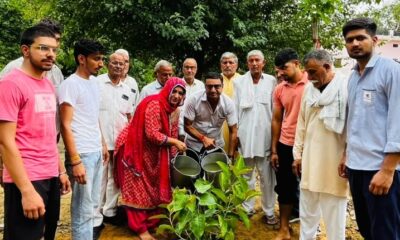 कोसली में आरती सिंह राव के जन्मदिन पर पौधारोपण